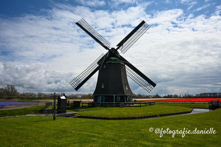 Hollandse molen